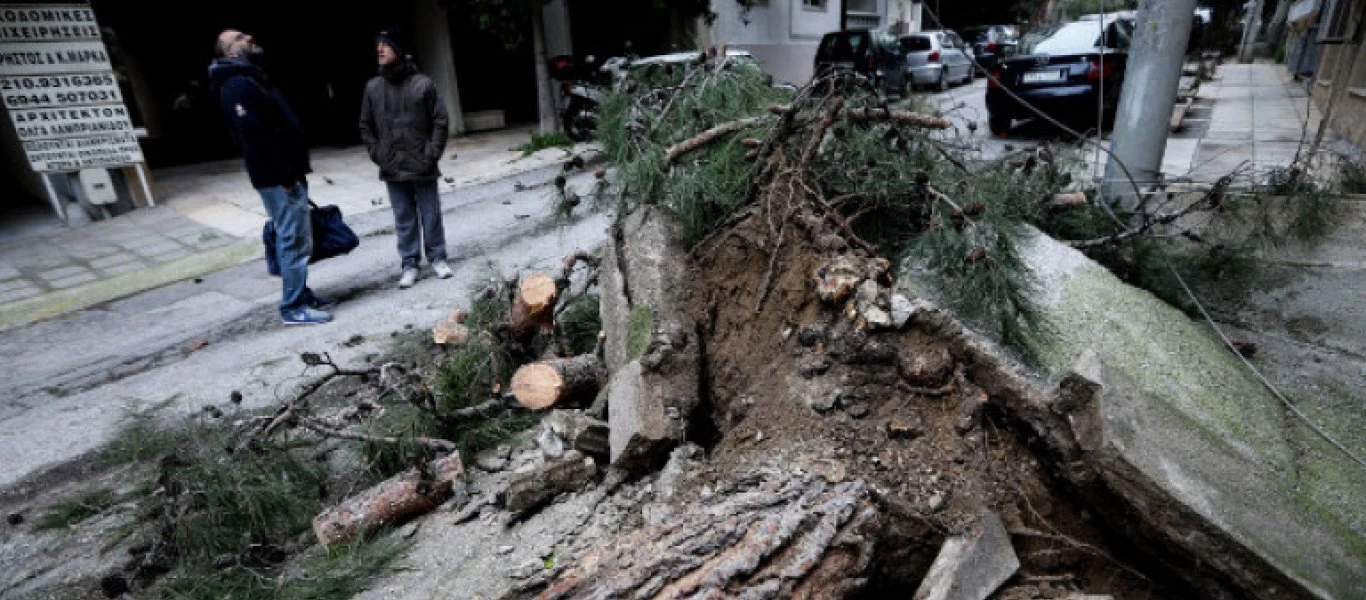 Προβλήματα από την κακοκαιρία στην Αττική: Πτώσεις δέντρων στη Νέα Σμύρνη - Καταπλακώθηκε αυτοκίνητο